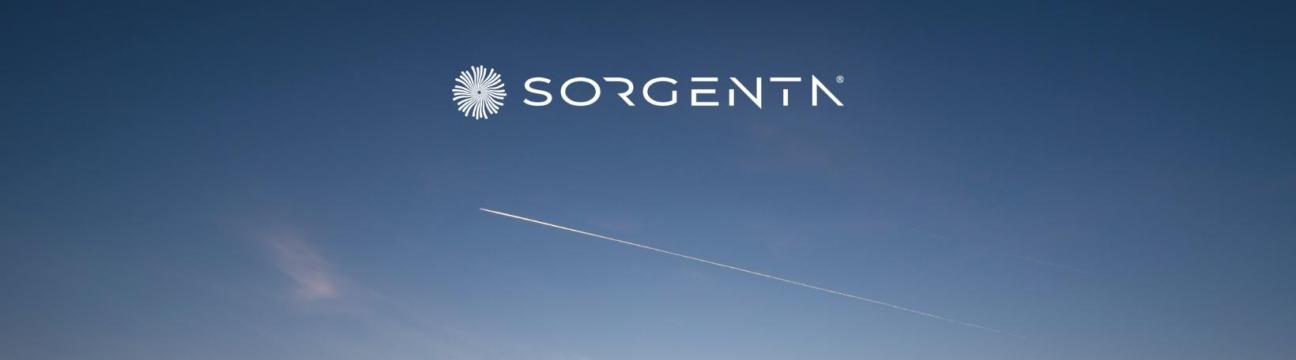 Sorgenta 2024