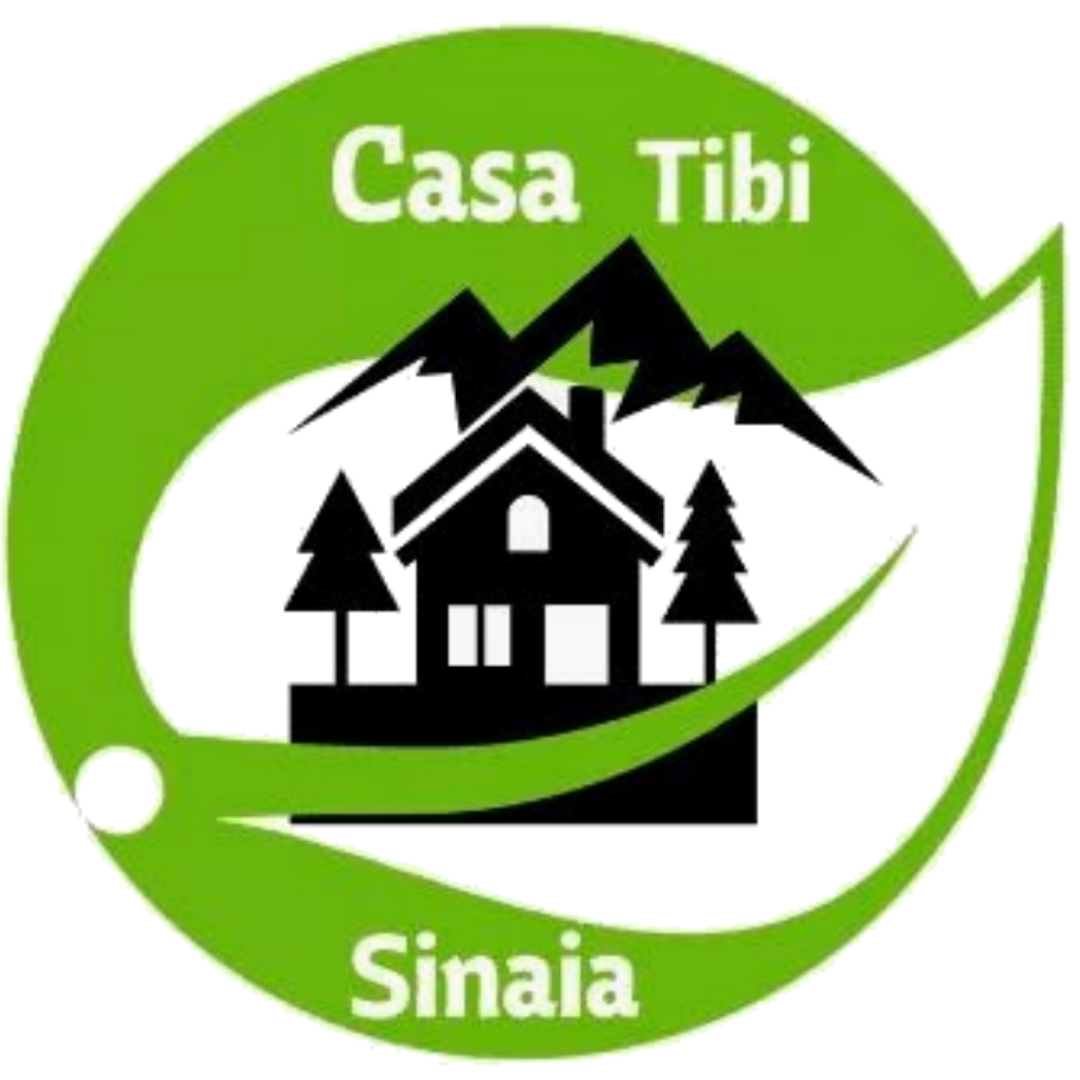 Casa Tibi Sinaia 